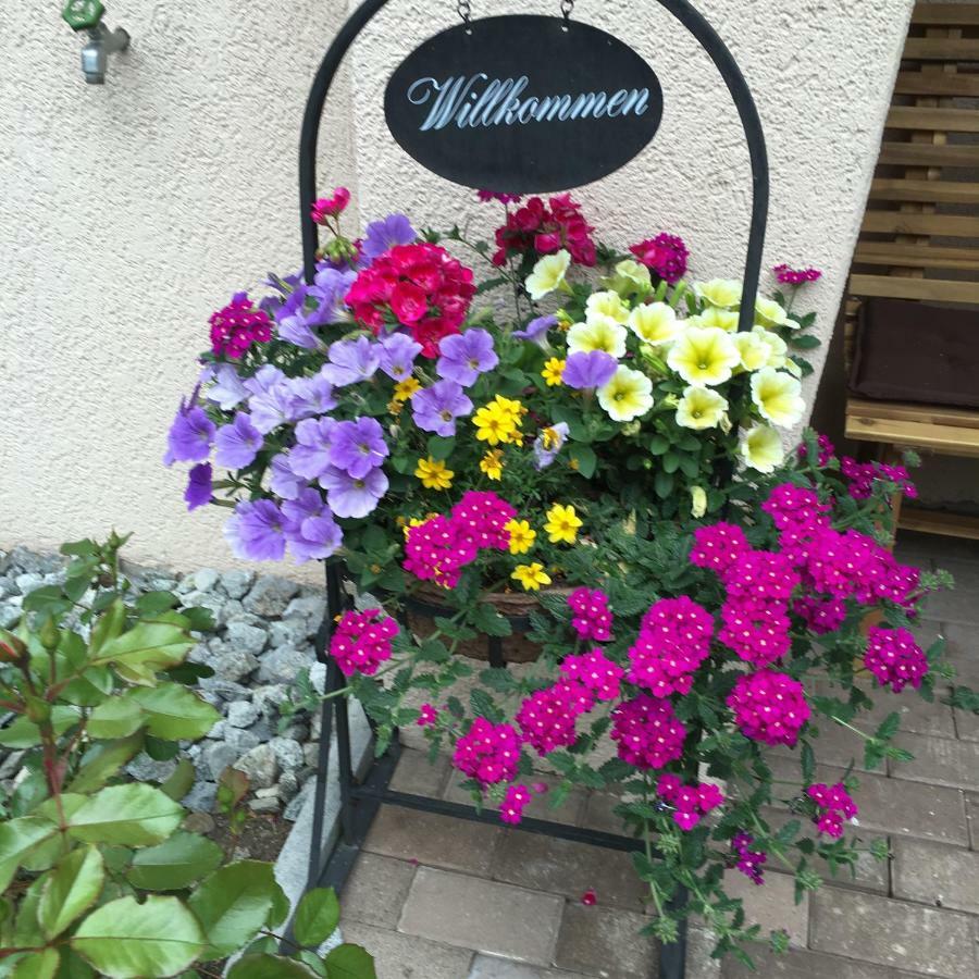 Hotel B&B Casa La Val Sedrun Εξωτερικό φωτογραφία